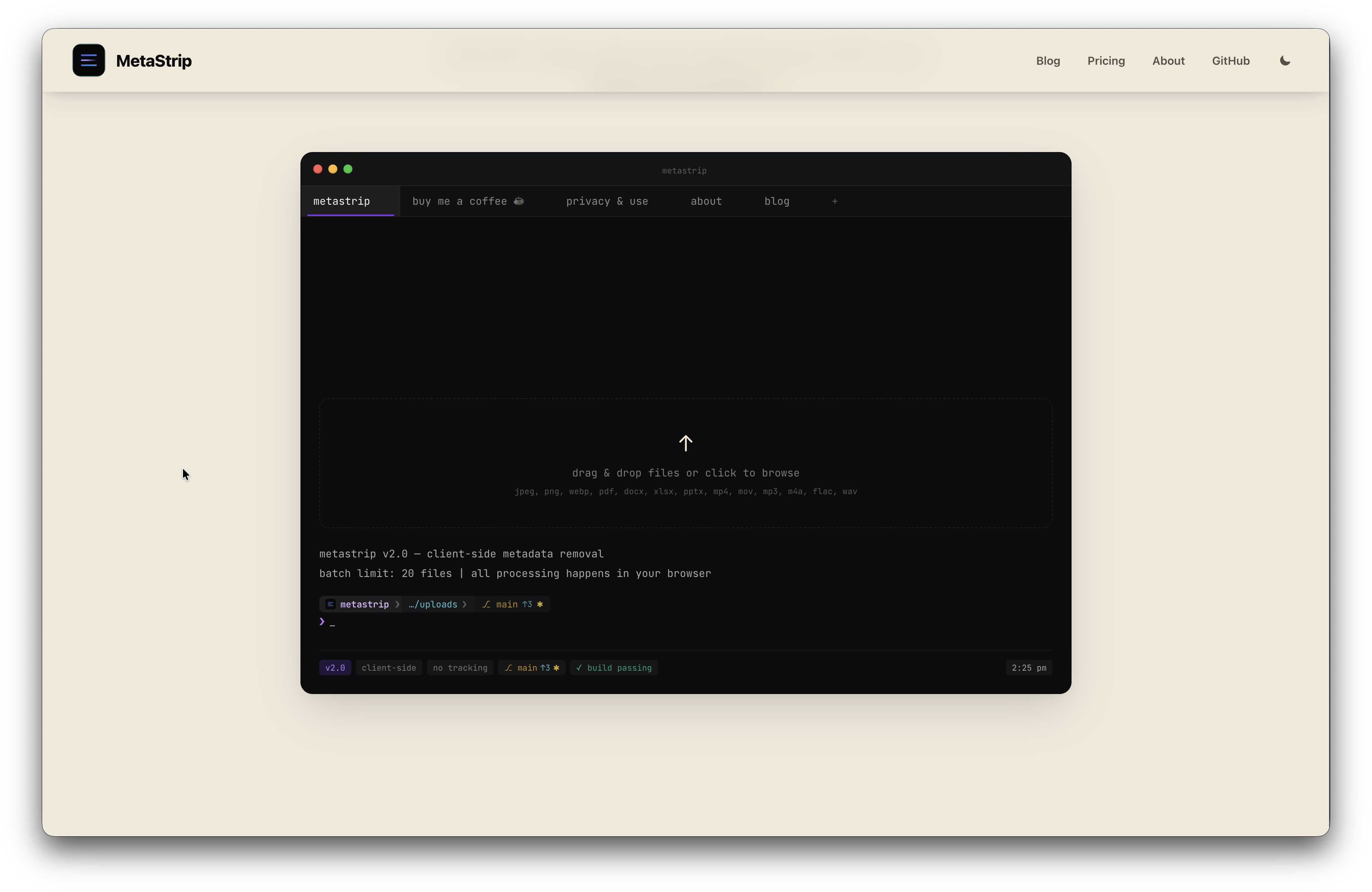 MetaStrip terminal interface